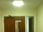 LED light installer